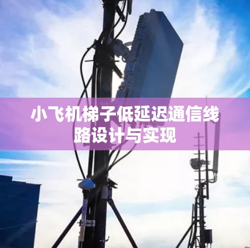 小飞机梯子低延迟通信线路设计与实现