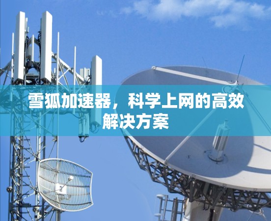 雪狐加速器,科学上网的高效解决方案 雪狐加速器,科学上网的高效解决方案