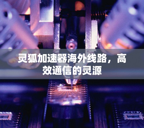灵狐加速器海外线路,高效通信的灵源 灵狐加速器海外线路,高效通信的灵源