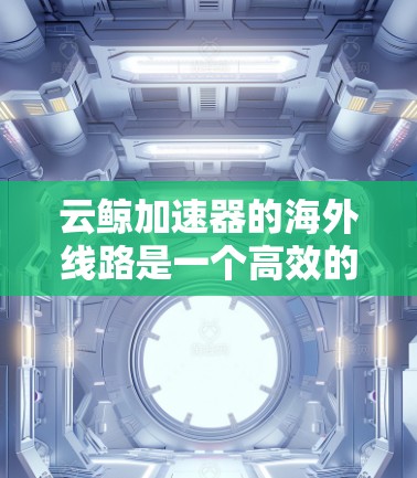 云鲸加速器的海外线路是一个高效的网络优化解决方案，旨在提升跨国数据传输的速度、稳定性和安全性。以下是对其工作原理、功能和应用场景的详细分析