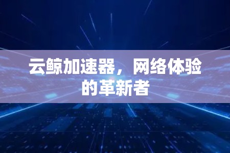 云鲸加速器，网络体验的革新者