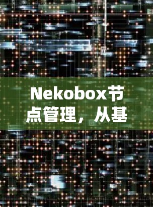 Nekobox节点管理,从基础到高级操作指南 Nekobox节点管理,从基础到高级操作指南