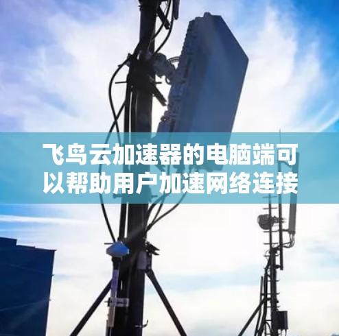 飞鸟云加速器的电脑端可以帮助用户加速网络连接，提升数据传输和应用性能。以下是使用飞鸟云加速器电脑端的基本步骤和注意事项