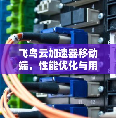 飞鸟云加速器移动端,性能优化与用户体验提升 飞鸟云加速器移动端,性能优化与用户体验提升