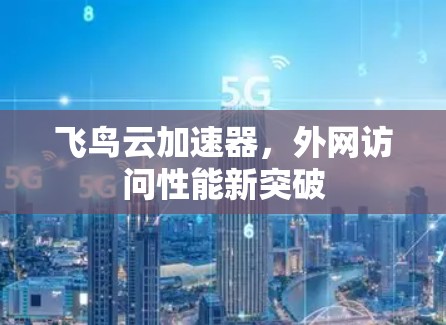 飞鸟云加速器，外网访问性能新突破