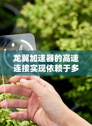 龙翼加速器的高速连接实现依赖于多个关键技术和因素，以下是对其高速连接的详细分析