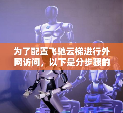 为了配置飞驰云梯进行外网访问,以下是分步骤的解决方案 为了配置飞驰云梯进行外网访问,以下是分步骤的解决方案