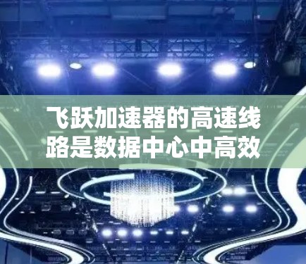 飞跃加速器的高速线路是数据中心中高效传输数据的关键组成部分，通过优化数据传输速度和带宽，支持云计算、大数据和AI等高性能需求。以下是对飞跃加速器高速线路的详细分析