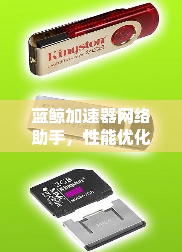 蓝鲸加速器网络助手，性能优化与效率提升的无缝解决方案