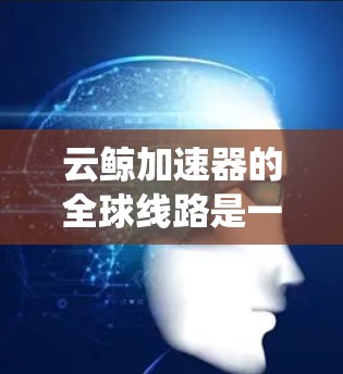 云鲸加速器的全球线路是一个高度优化的网络系统，旨在为企业提供高效、安全的数据传输解决方案。以下是对其全球线路的详细分析