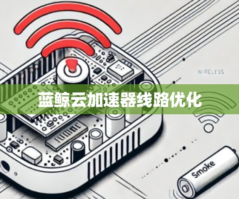 蓝鲸云加速器线路优化 蓝鲸云加速器线路优化