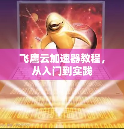 飞鹰云加速器教程,从入门到实践 飞鹰云加速器教程,从入门到实践