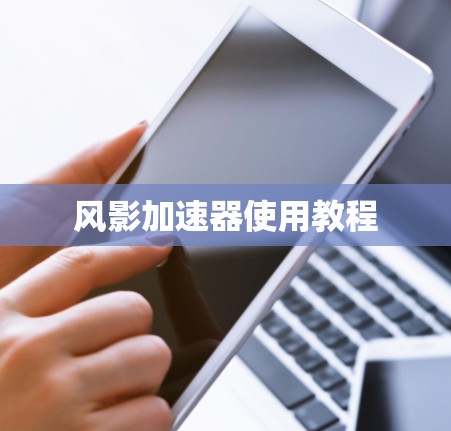 风影加速器使用教程 风影加速器使用教程