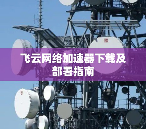 飞云网络加速器下载及部署指南 飞云网络加速器下载及部署指南