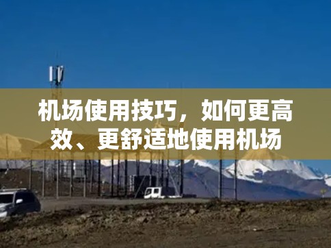 机场使用技巧，如何更高效、更舒适地使用机场
