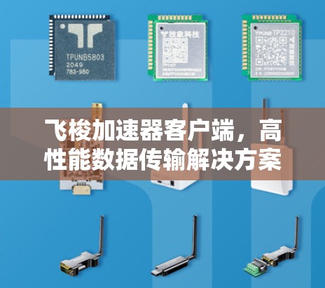 飞梭加速器客户端,高性能数据传输解决方案 飞梭加速器客户端,高性能数据传输解决方案