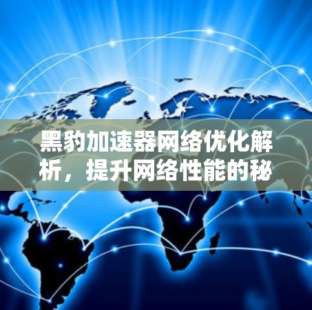 黑豹加速器网络优化解析，提升网络性能的秘密武器