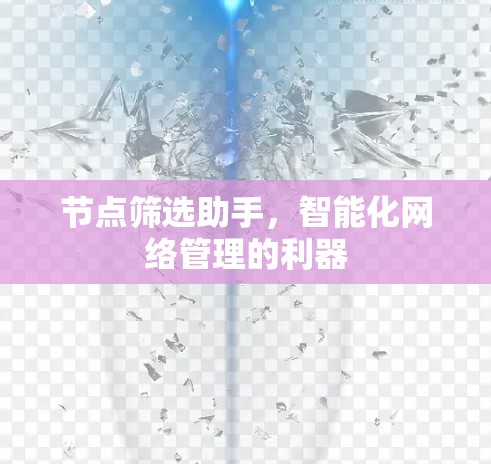 节点筛选助手，智能化网络管理的利器