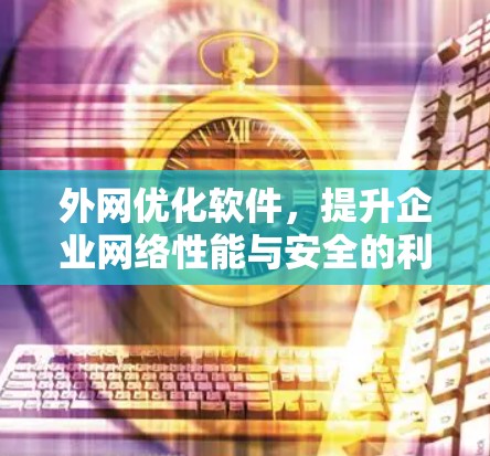 外网优化软件，提升企业网络性能与安全的利器