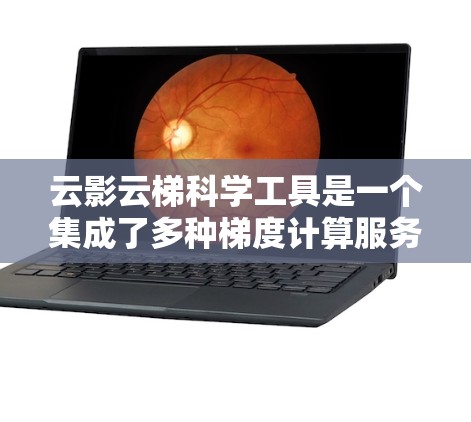 云影云梯科学工具是一个集成了多种梯度计算服务和模型优化技术的平台，旨在帮助用户高效训练大型深度学习模型。以下是对云影云梯的详细分析和总结