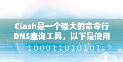 Clash是一个强大的命令行DNS查询工具，以下是使用Clash的基本教程，帮助你快速熟悉并高效使用它