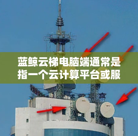 蓝鲸云梯电脑端通常是指一个云计算平台或服务，专为企业或开发者提供云资源管理、数据处理和应用部署的功能。电脑端通常指的是与之相关的客户端软件或控制台，用于更方便地管理和监控云资源