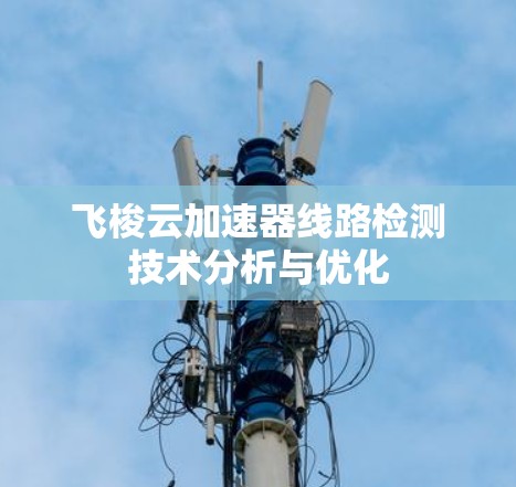 飞梭云加速器线路检测技术分析与优化