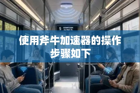 使用斧牛加速器的操作步骤如下
