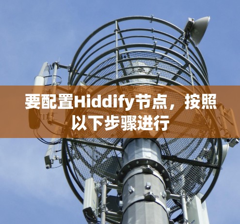 要配置Hiddify节点，按照以下步骤进行