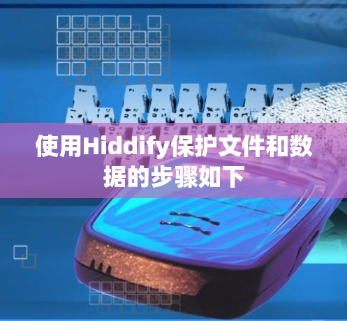使用Hiddify保护文件和数据的步骤如下 使用Hiddify保护文件和数据的步骤如下