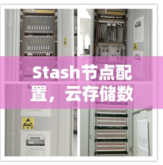 Stash节点配置，云存储数据管理的关键步骤