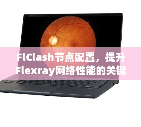 FlClash节点配置，提升Flexray网络性能的关键