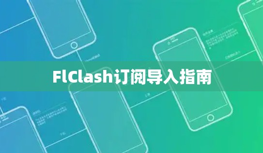 FlClash订阅导入指南