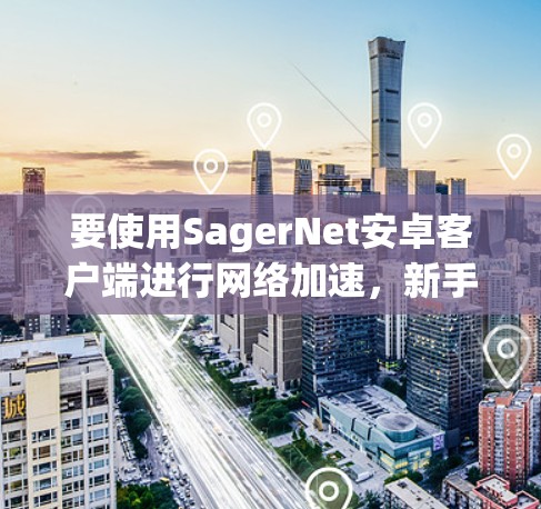 要使用SagerNet安卓客户端进行网络加速，新手可以按照以下步骤操作