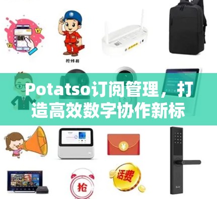 Potatso订阅管理，打造高效数字协作新标准