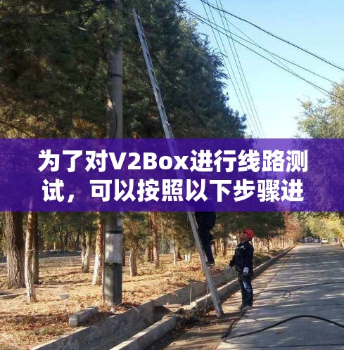 为了对V2Box进行线路测试，可以按照以下步骤进行