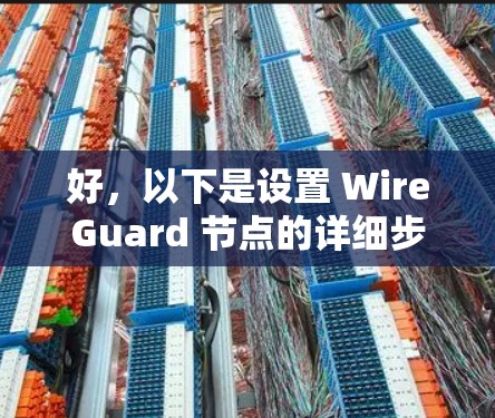好，以下是设置 WireGuard 节点的详细步骤