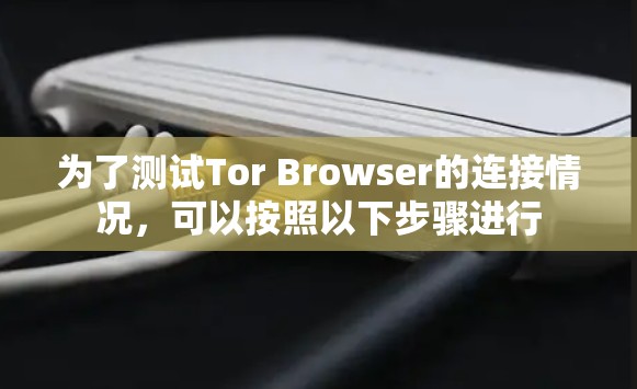 为了测试Tor Browser的连接情况，可以按照以下步骤进行