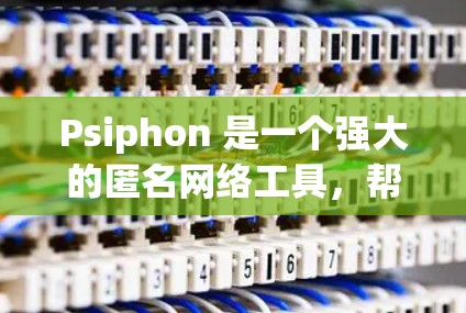 Psiphon 是一个强大的匿名网络工具，帮助用户在浏览网页时保持匿名。以下是使用 Psiphon 的详细步骤指南