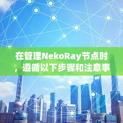 在管理NekoRay节点时，遵循以下步骤和注意事项可以确保系统的稳定性和高效性