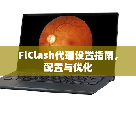 FlClash代理设置指南，配置与优化