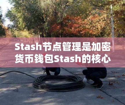 Stash节点管理是加密货币钱包Stash的核心功能之一,涉及多个方面,确保用户能够安全且有效地管理钱包。以下是Stash节点管理的详细步骤 Stash节点管理是加密货币钱包Stash的核心功能之一,涉及多个方面,确保用户能够安全且有效地管理钱包。以下是Stash节点管理的详细步骤