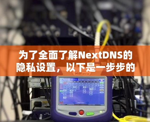 为了全面了解NextDNS的隐私设置，以下是一步步的指南
