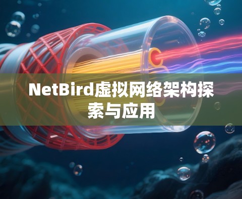 NetBird虚拟网络架构探索与应用 NetBird虚拟网络架构探索与应用