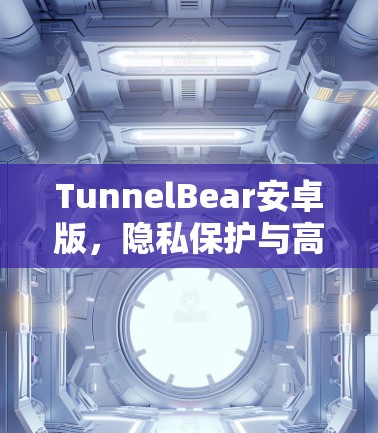 TunnelBear安卓版，隐私保护与高速连接的完美结合