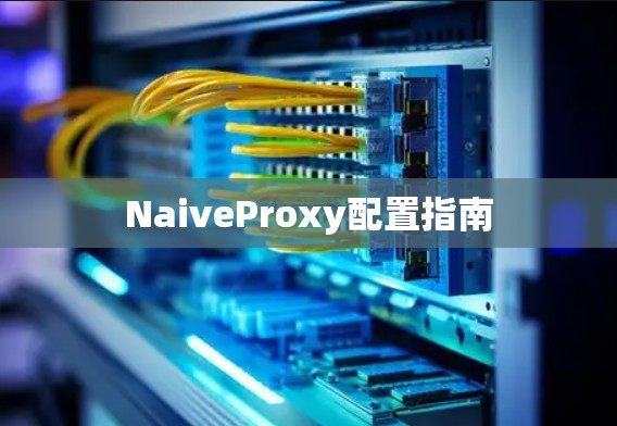 NaiveProxy配置指南