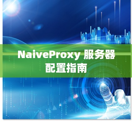 NaiveProxy 服务器配置指南 NaiveProxy 服务器配置指南