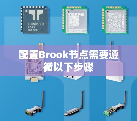 配置Brook节点需要遵循以下步骤 配置Brook节点需要遵循以下步骤