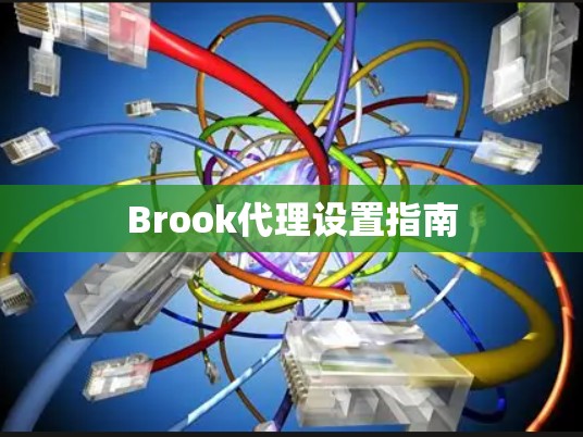 Brook代理设置指南