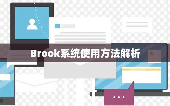 Brook系统使用方法解析 Brook系统使用方法解析